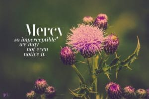 Not So Great in the Valley