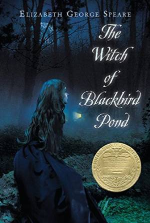 here’s a free PDF:
http://daal.deltaschools.com/content/witch-of-blackbird-pond.pdf