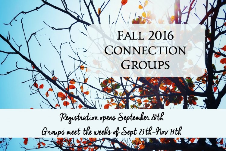 Fall Connection Groups Reg