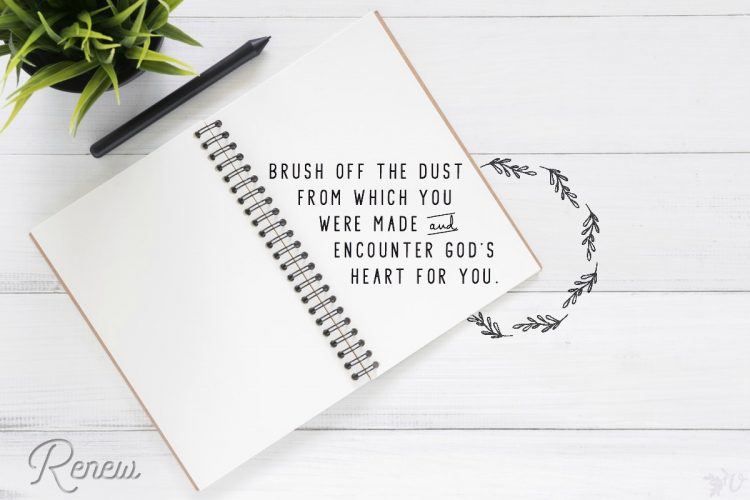 velvet ashes renew grove