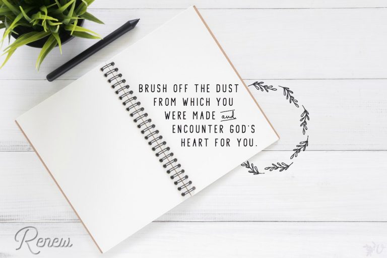 velvet ashes renew grove