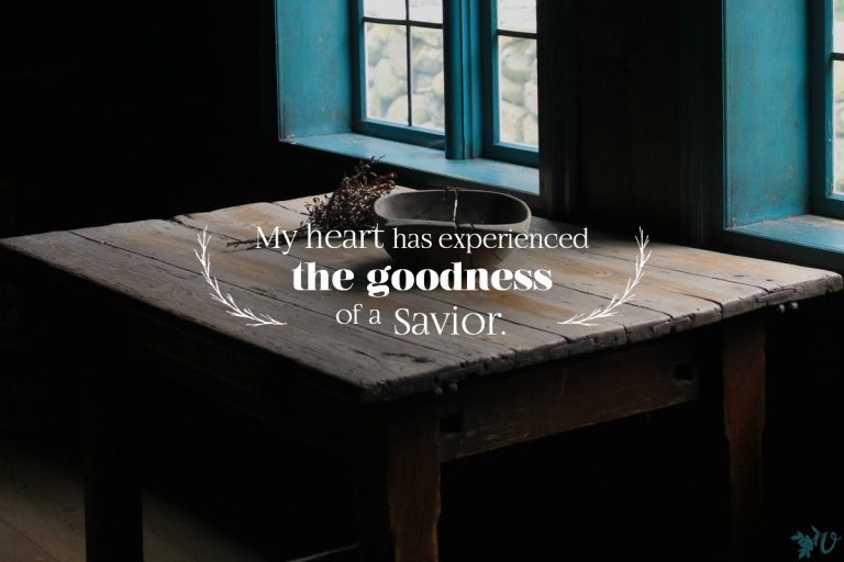 velvet ashes discord goodness