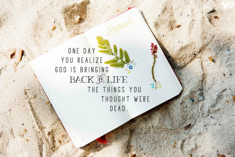 Velvet Ashes Grove Refresh