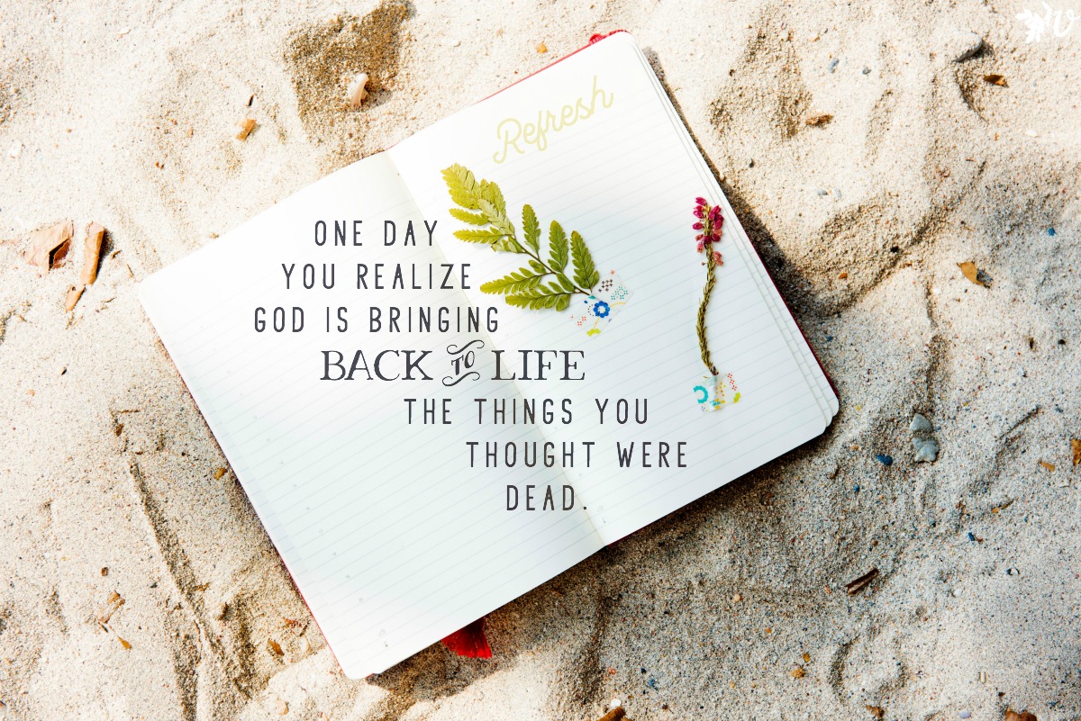 Velvet Ashes Grove Refresh