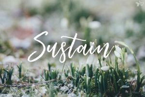 velvet ashes sustain