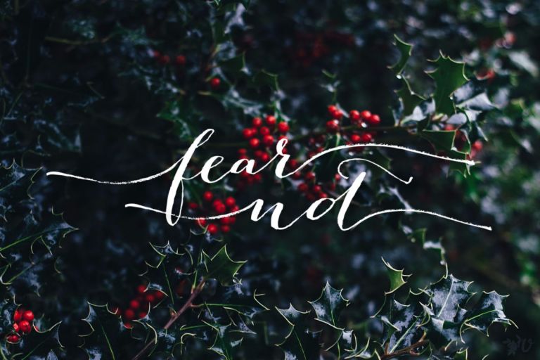 fear not