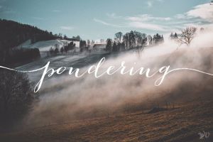 pondering velvet ashes