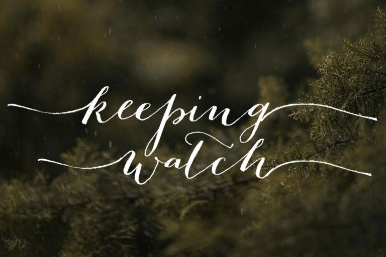 keeping watch