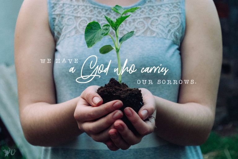 Hope for the Rootless Days