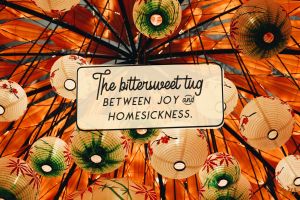 Diving Hard Into Mooncakes