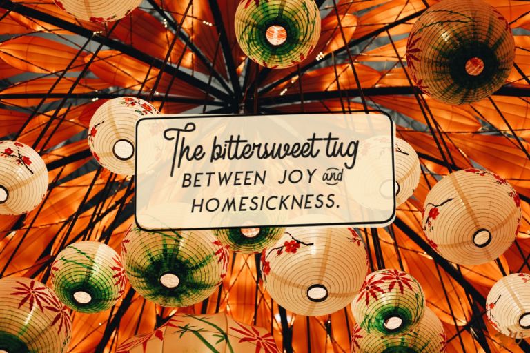 Diving Hard Into Mooncakes