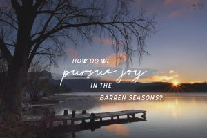 Joy in Every Season