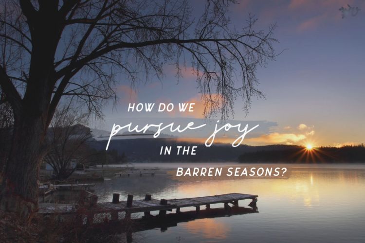 Joy in Every Season