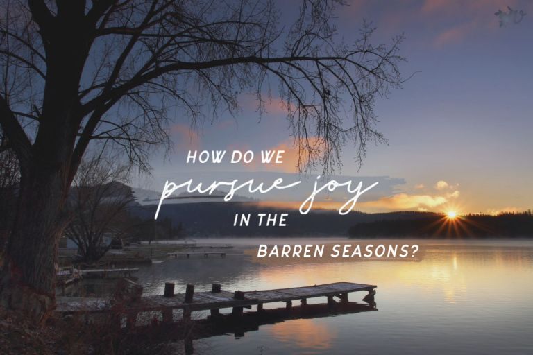 Joy in Every Season