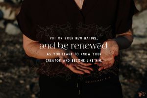 Release. Reform. Renew