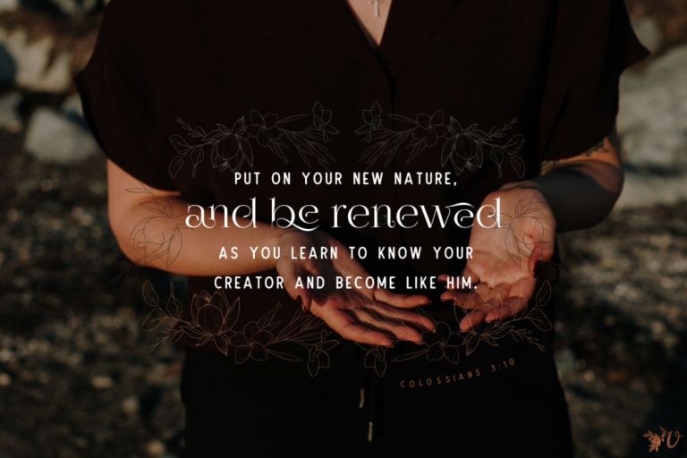 Release. Reform. Renew