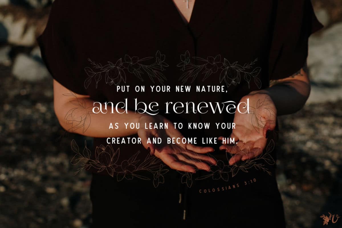 Release. Reform. Renew