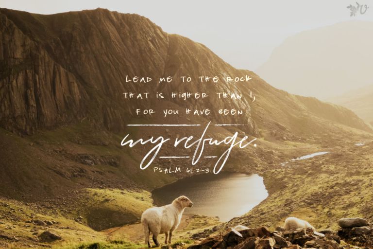 In the Breaking, Look Up