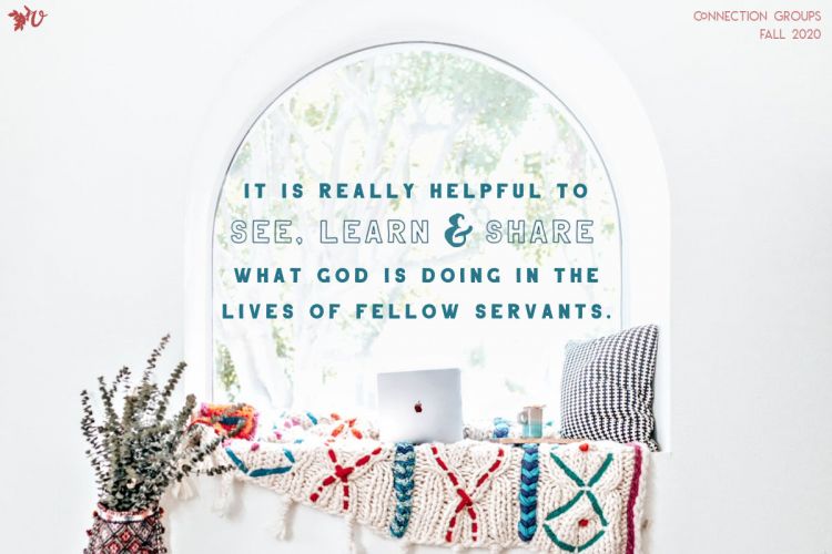 Looking Through a Window