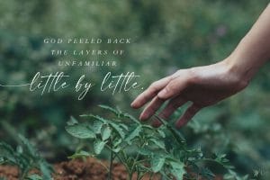 Decisions, Decisions, Decisions