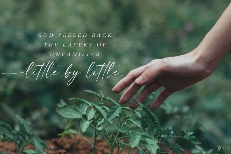 Decisions, Decisions, Decisions