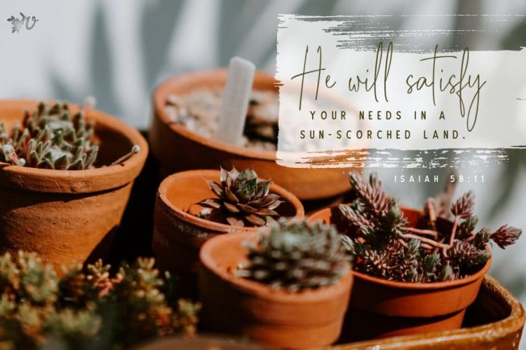 The Work of the Trowel