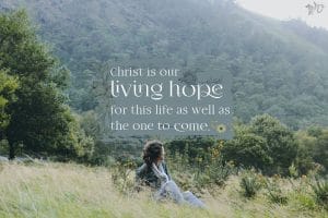 The Vision We Need When We Tend Our Soul