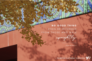 Waiting With Expectation + Pumpkin Oatmeal Cookies