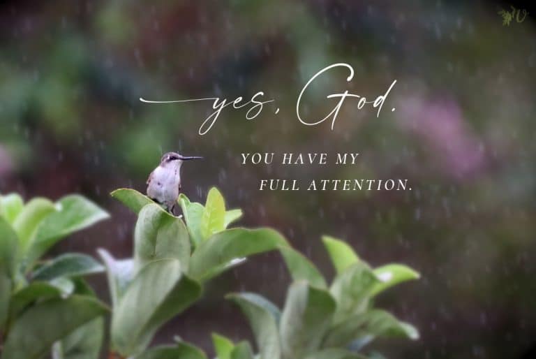 Fear Not, Little Hummingbird