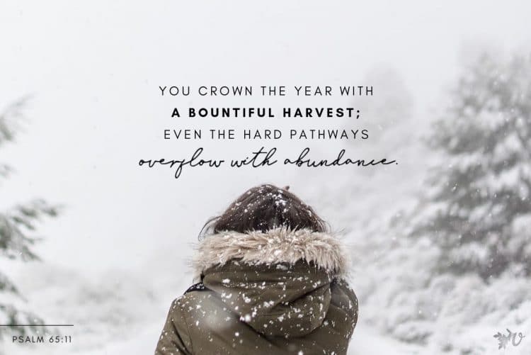 2020. The Year of Abundance?