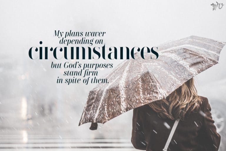 God's Purpose > My Plans