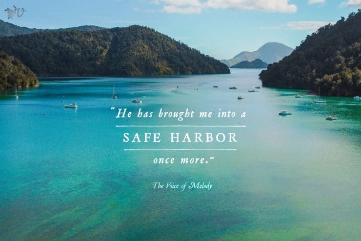 Finding Safe Harbor {Book Club}