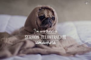 That Time We Got Bed Bugs