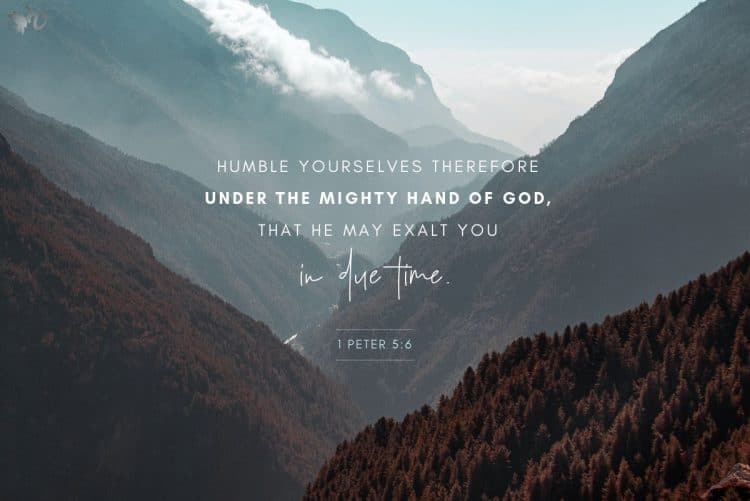 Embracing True Safety