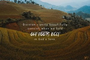 The Coexisting Nature of Division and Unity