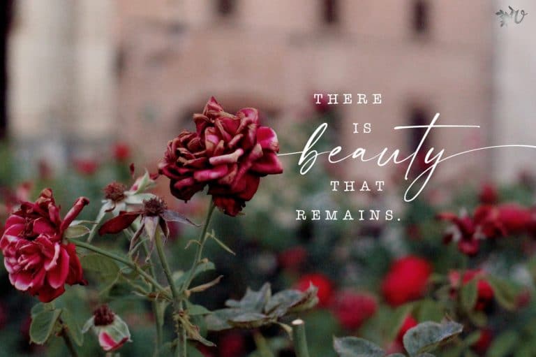 The Beauty that Remains