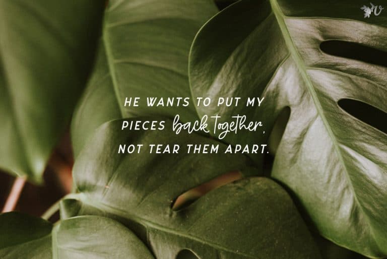 Broken Bones, Broken Brains